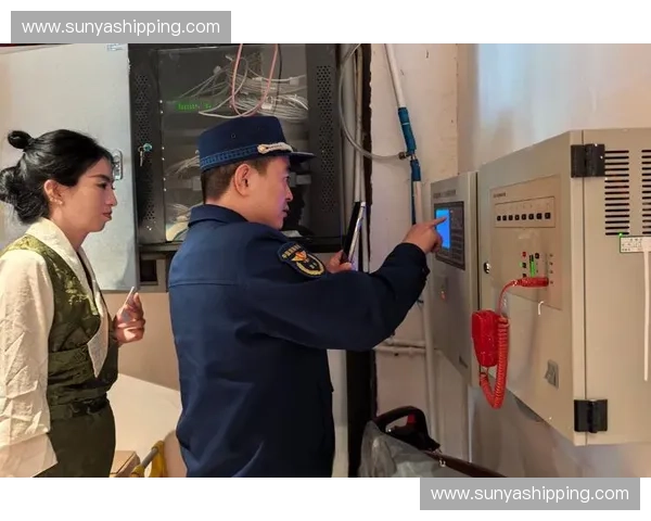 以专项力量比为核心的资源配置优化与实践探索分析 以专项力量比为核心的资源配置优化与实践探索分析