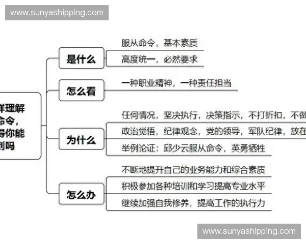 以专项意识为引领推动治理能力和执行效能全面提升新路径研究 以专项意识为引领推动治理能力和执行效能全面提升新路径研究