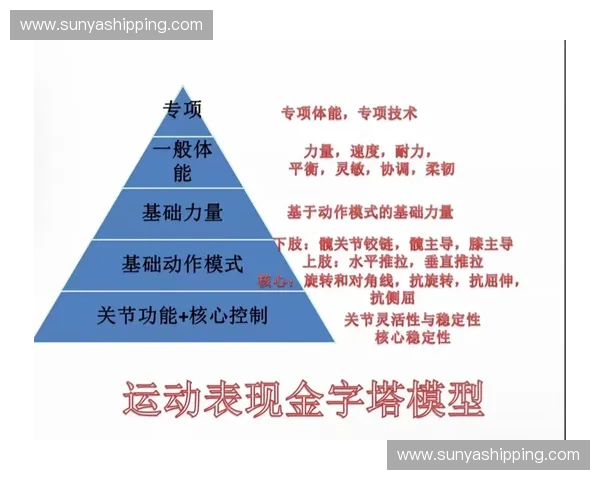 以体能训练为核心打造科学化运动模式提升综合健康水平 以体能训练为核心打造科学化运动模式提升综合健康水平